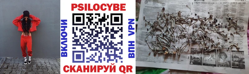 Галлюциногенные грибы Psilocybe  Новая Усмань 